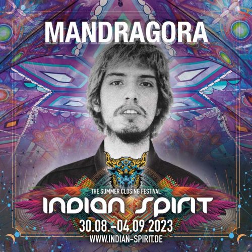 Mandragora